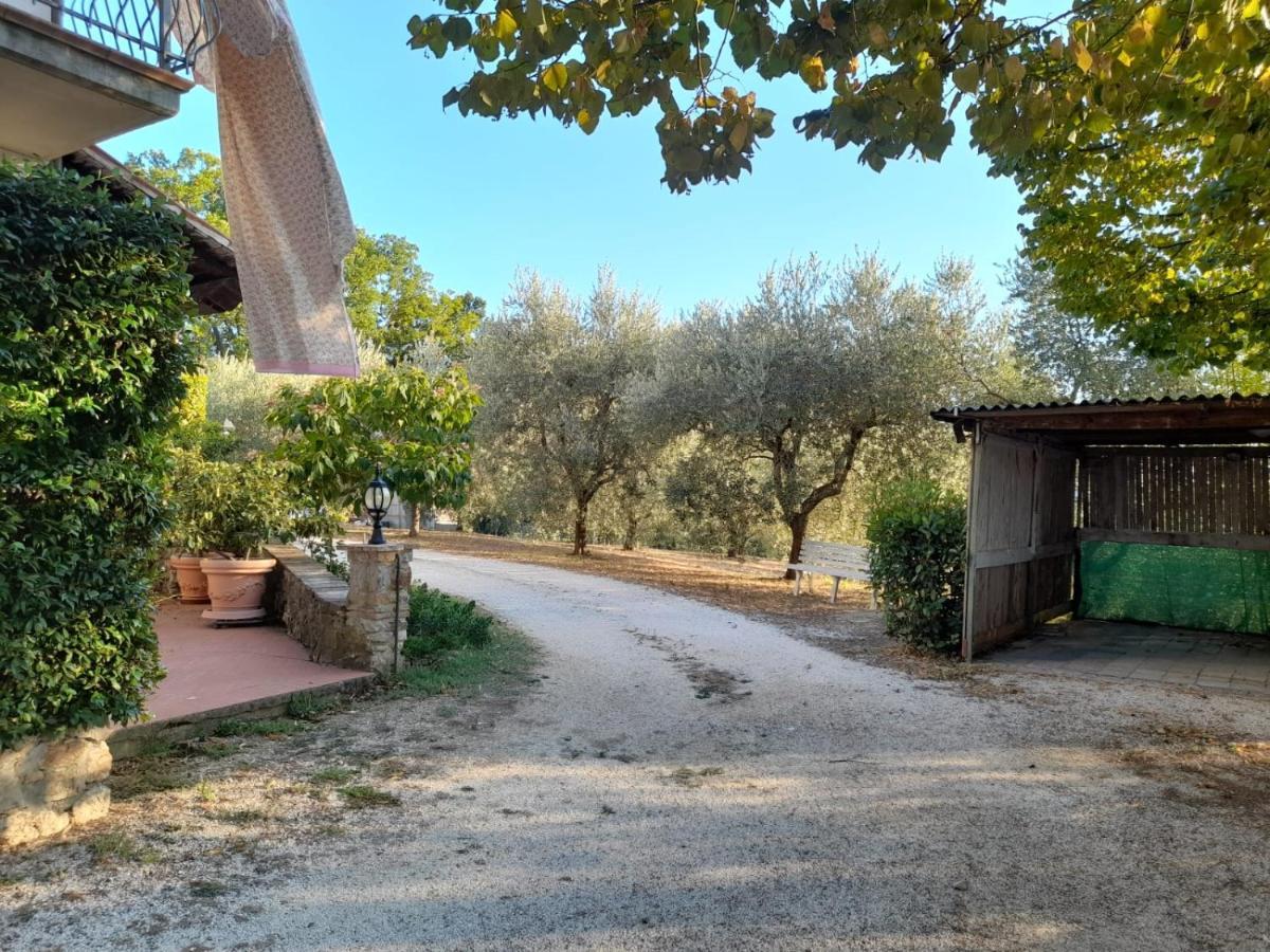 8380 Il Tiglio Verde Manciano Exterior photo